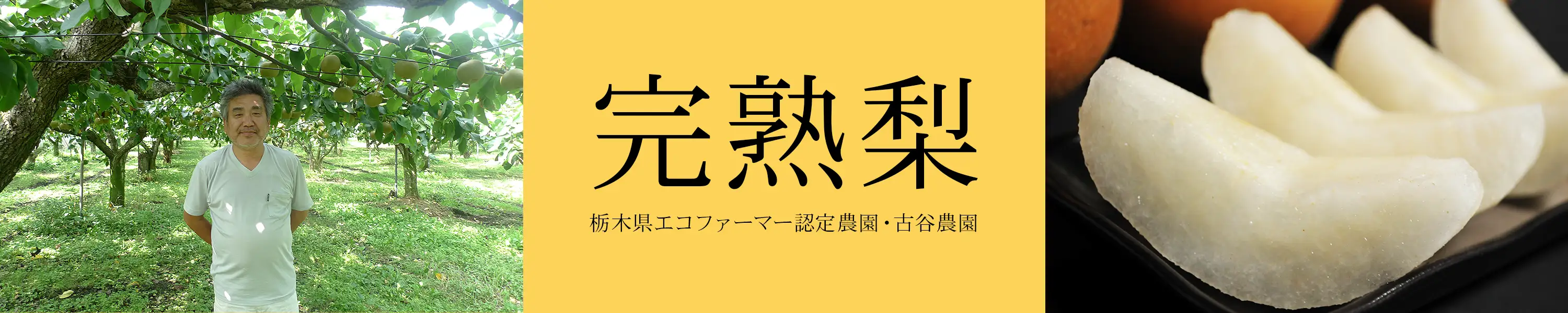 栃木県エコファーマー認定農園・古谷農園「完熟梨」