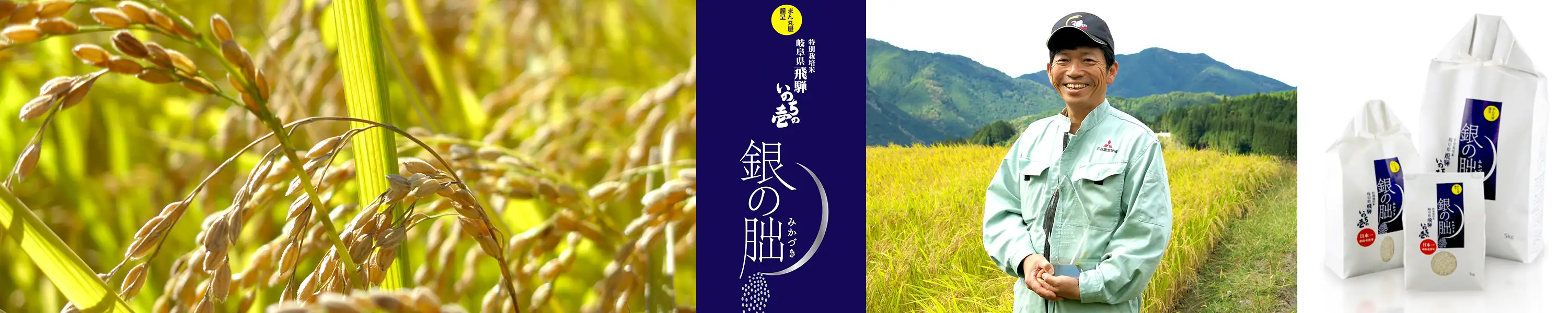 まん丸屋 特別栽培米 岐阜県飛騨いのちの壱 銀の朏(みかづき)