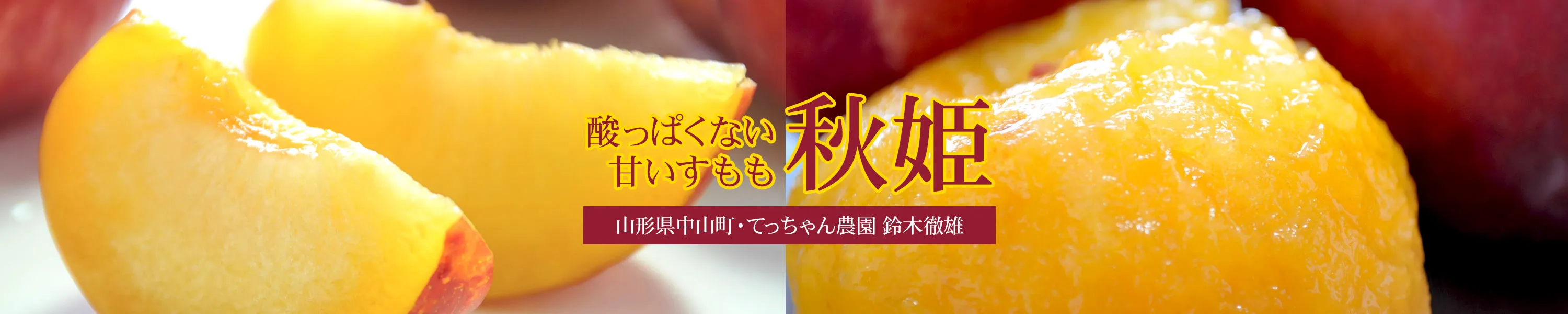 山形県中山町・てっちゃん農園 鈴木徹雄　酸っぱくない甘いすもも「秋姫」