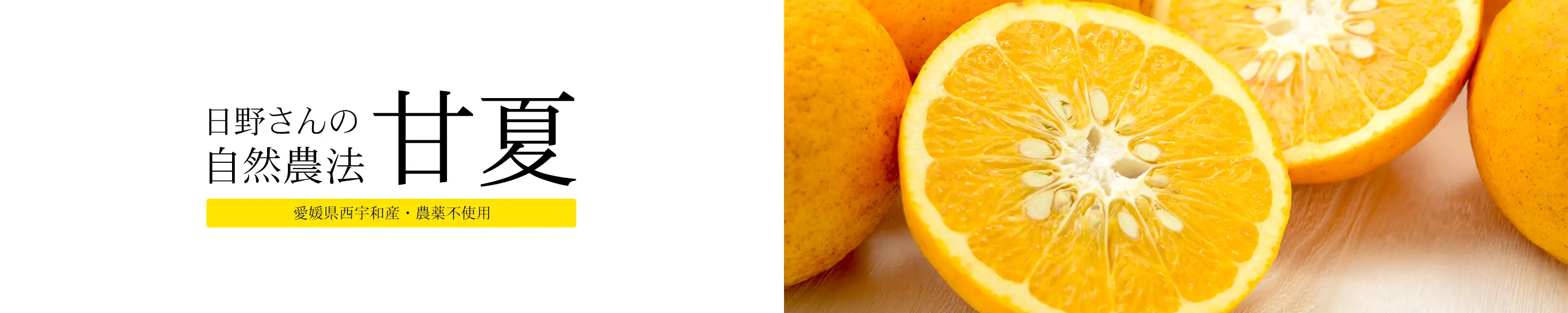 愛媛県西宇和産・農薬不使用「日野さんの自然農法甘夏」
