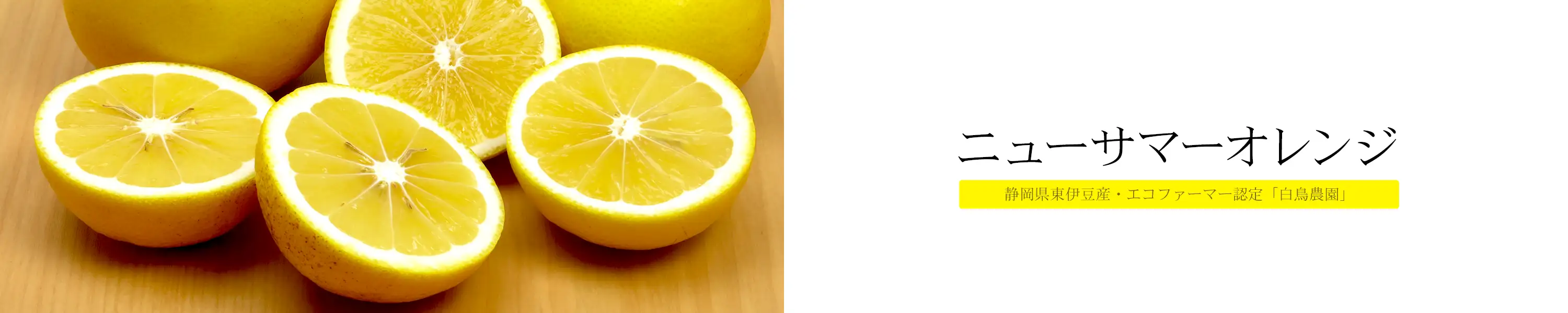 静岡県東伊豆産・エコファーマー認定 白鳥農園「ニューサマーオレンジ」
