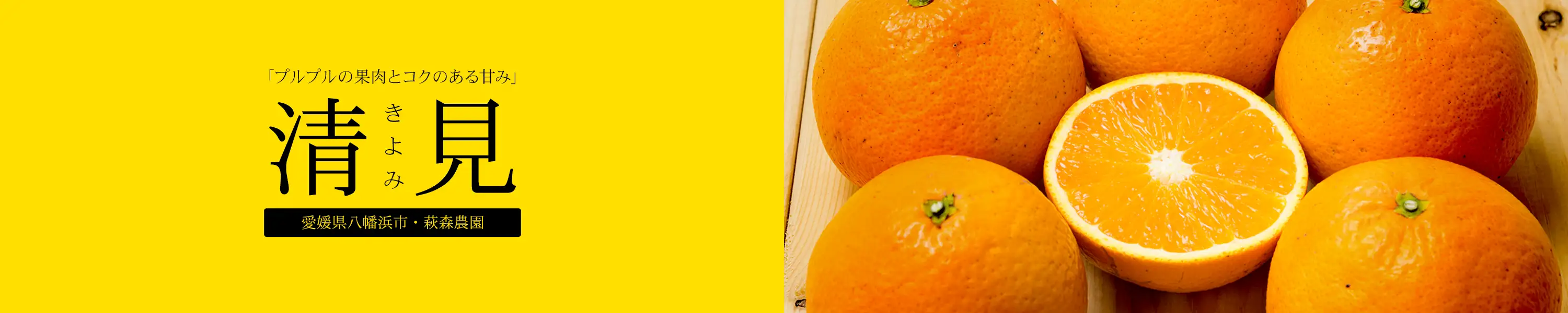 愛媛県八幡浜市・萩森農園 プルプルの果肉とコクのある甘み「清見」