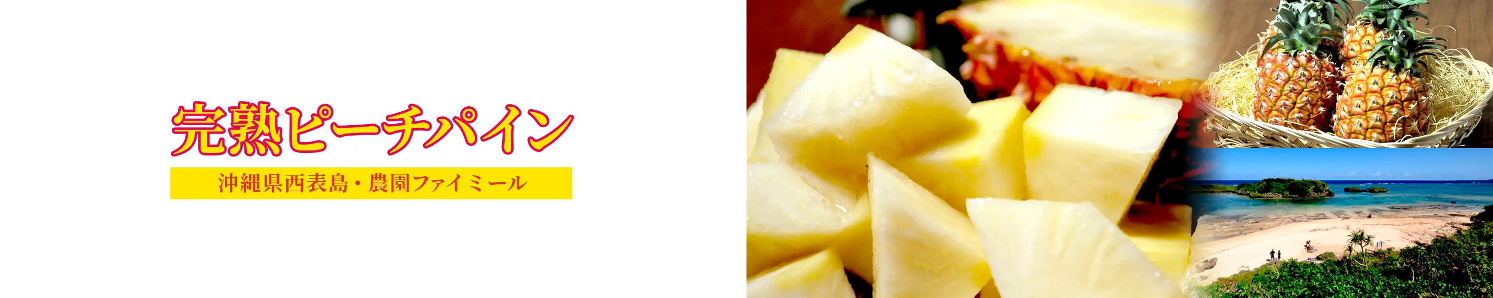 沖縄県西表島産・農園ファイミール「完熟ピーチパイン」