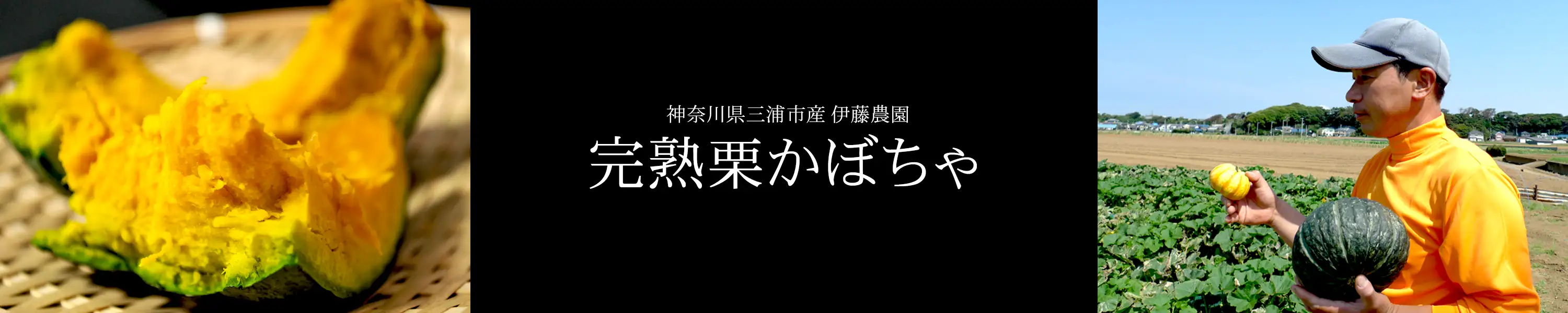 神奈川県三浦市産 伊藤農園「完熟栗かぼちゃ」