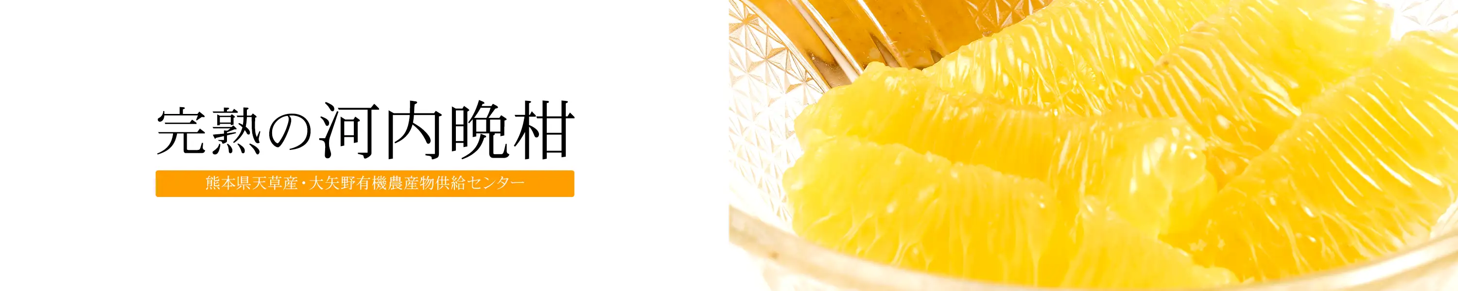 熊本県天草産・大矢野有機農産物供給センター「完熟の河内晩柑」