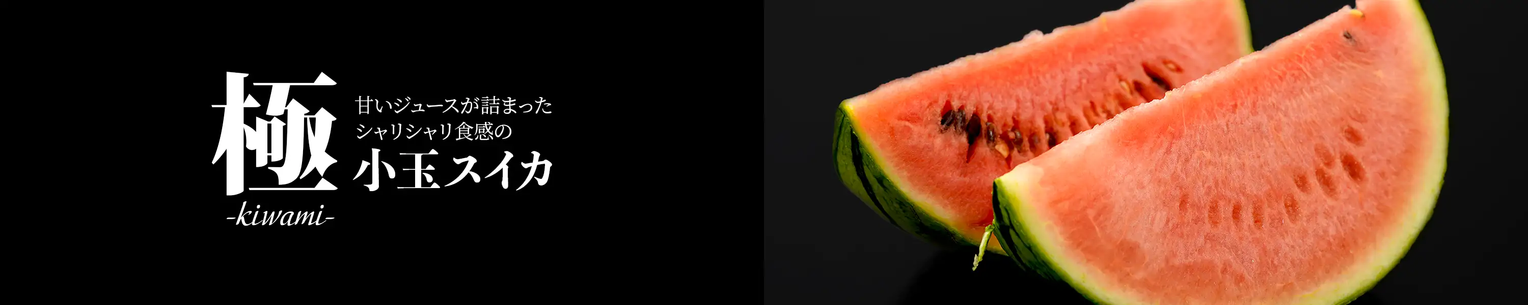 花職人Ikeda 甘いジュースが詰まったシャリシャリ食感の小玉スイカ「極 kiwami 小玉スイカ」