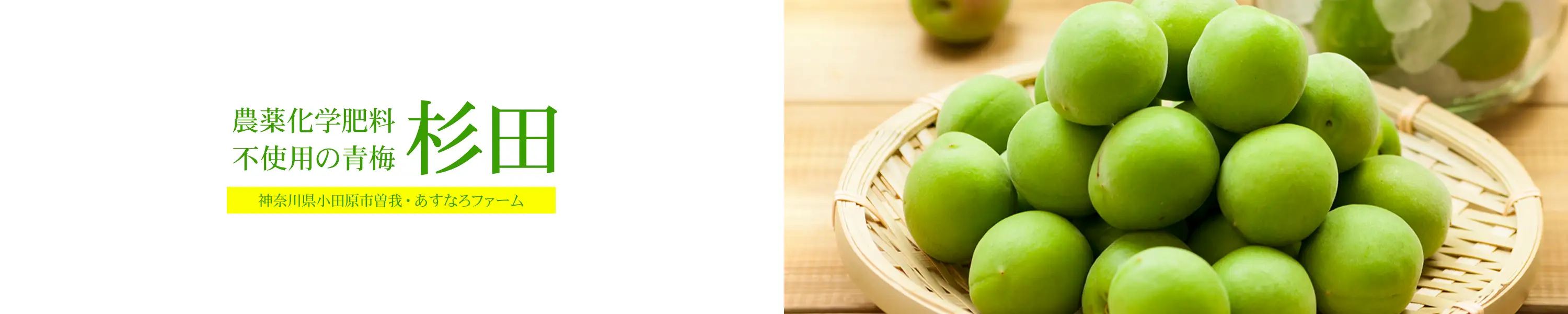 神奈川県小田原市曽我・あすなろファーム「青梅」農薬・化学肥料不使用