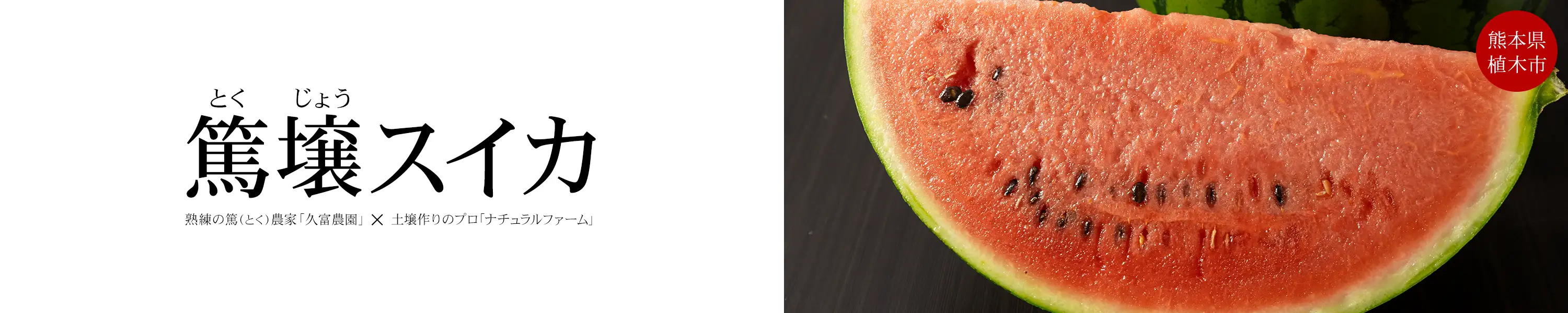 熊本県植木市・久富農園 熟練の篤(とく)農家「久富農園」 × 土壌作りのプロ「ナチュラルファーム」「篤壌スイカ」