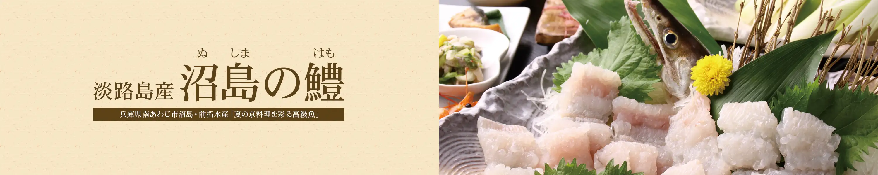 夏の京料理を彩る高級魚「淡路島産 沼島の鱧（ハモ）」