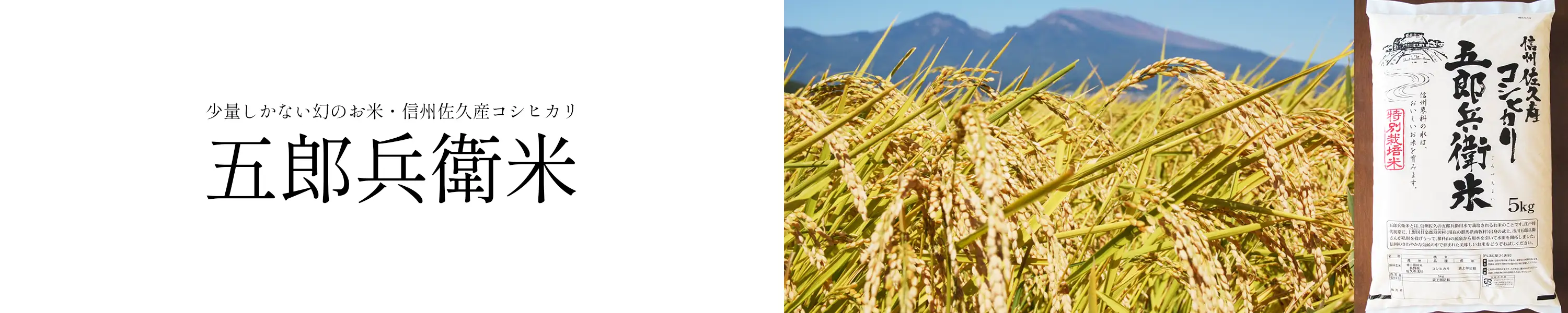 信州佐久産コシヒカリ 産地限定・少量しかない幻のお米「五郎兵衛米」