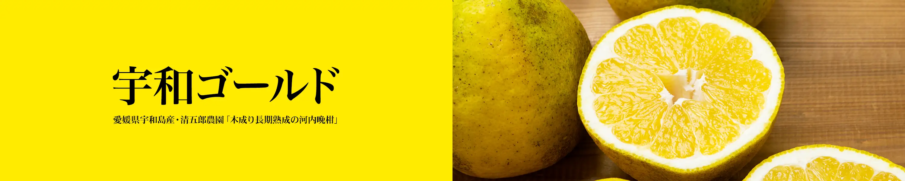 愛媛県宇和島産・清五郎農園 木成り長期熟成の河内晩柑「宇和ゴールド」