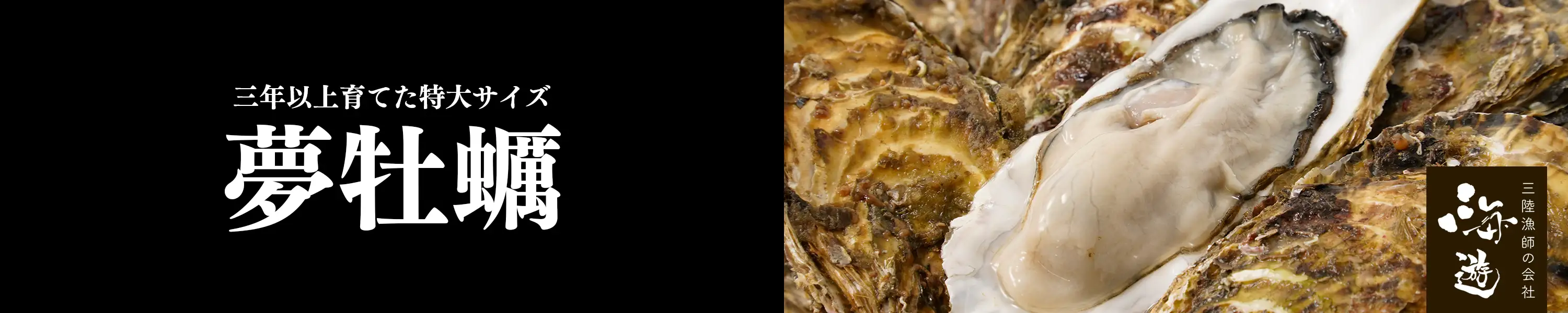 海遊・3年以上かけて育てられた特大サイズの牡蠣「夢牡蠣」