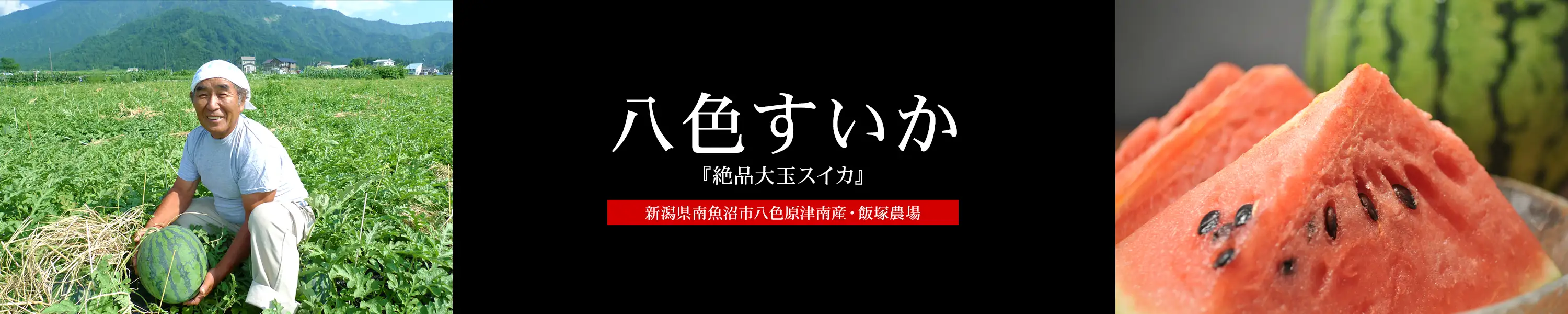 新潟県南魚沼市八色原津南産・飯塚農場「八色すいか」