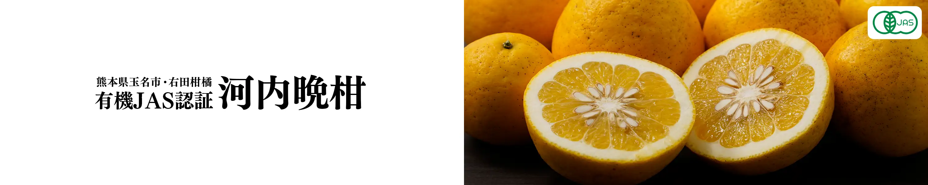 熊本県玉名市・右田柑橘「有機JAS認証河内晩柑」