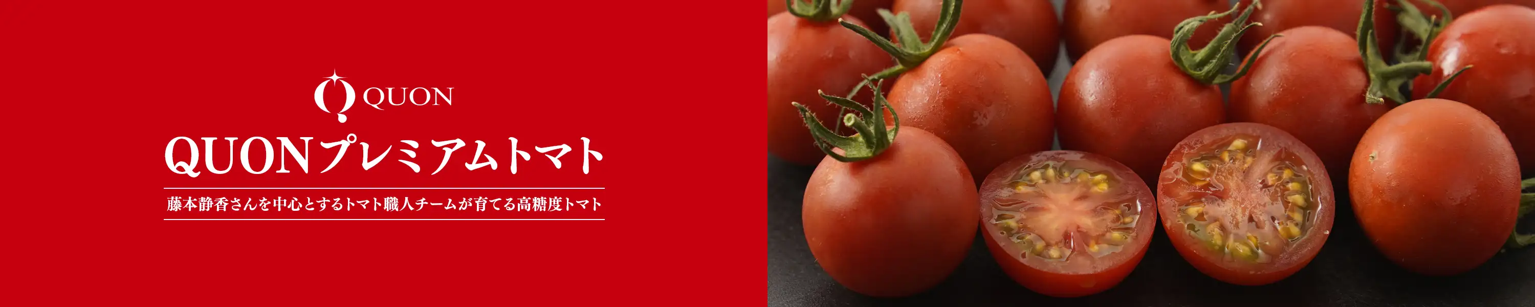 藤本静香さんを中心とするトマト職人チームが育てる高糖度トマト「QUONプレミアムトマト」