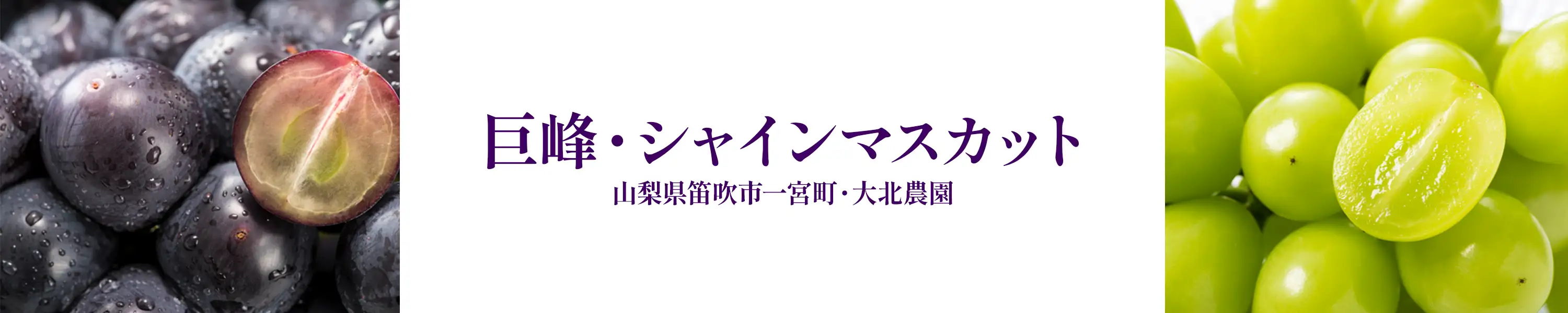 大北農園「完熟ぶどう 巨峰・シャインマスカット」