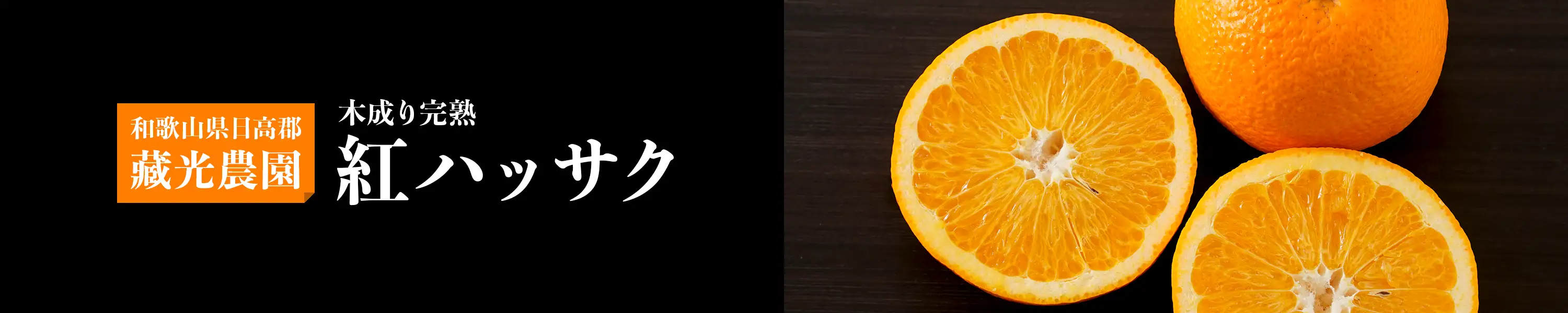 和歌山県日高郡・藏光農園「木成り完熟 紅ハッサク」
