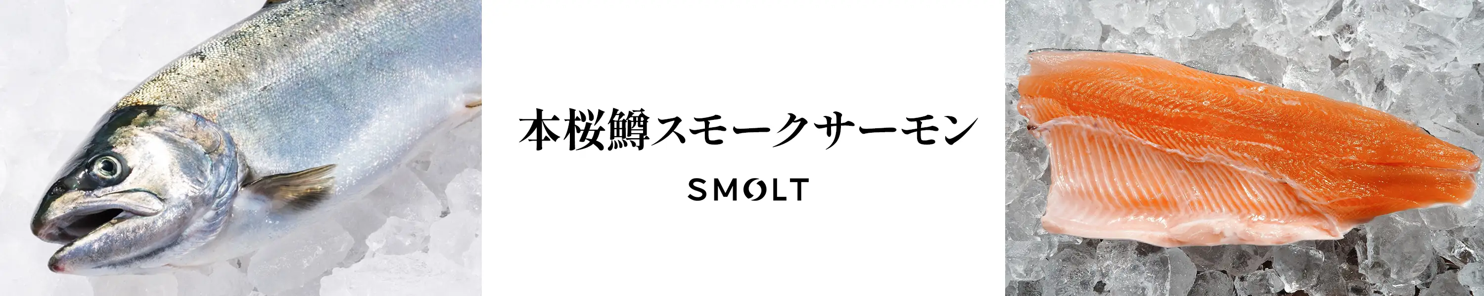 SMOLT「本桜鱒スモークサーモン」