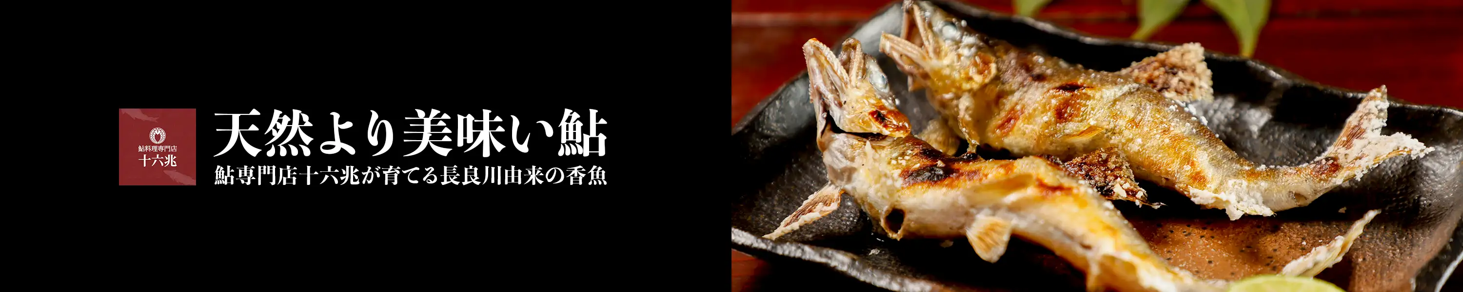 鮎専門店十六兆が育てる長良川由来の香魚「天然より美味い鮎」