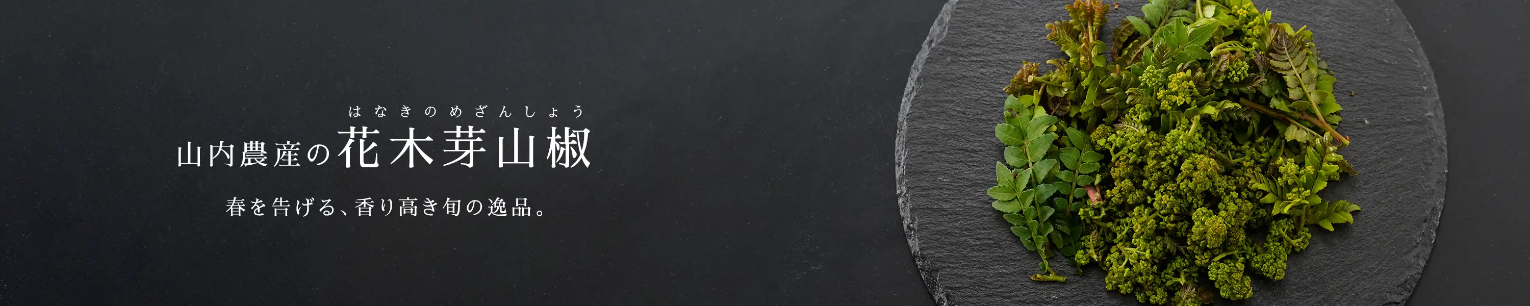 春を告げる、香り高き旬の逸品。「山内農産の花木芽山椒」