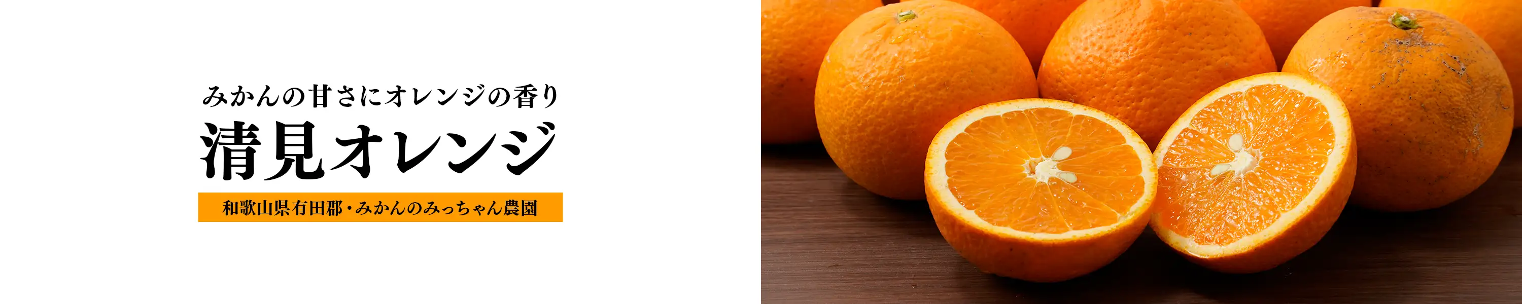 みかんのみっちゃん農園「みかんの甘さにオレンジの香り 清見オレンジ」
