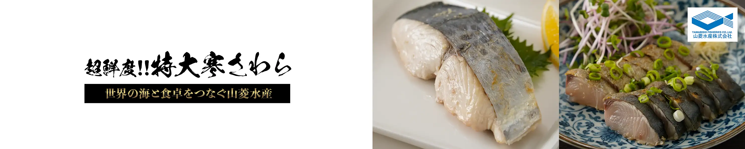 世界の海と食卓をつなぐ山菱水産「超鮮度!!特大寒さわら」