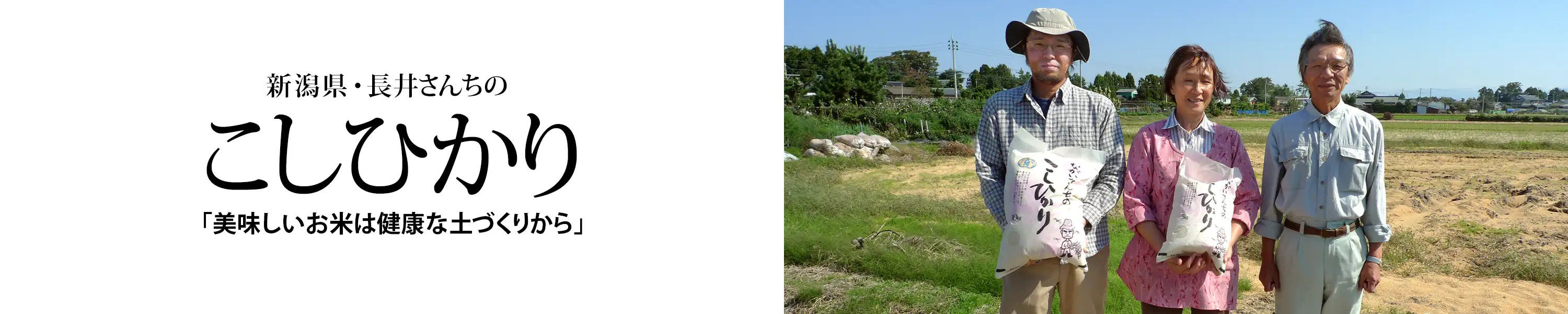美味しいお米は健康な土づくりから「新潟県 ながいさんちのこしひかり」