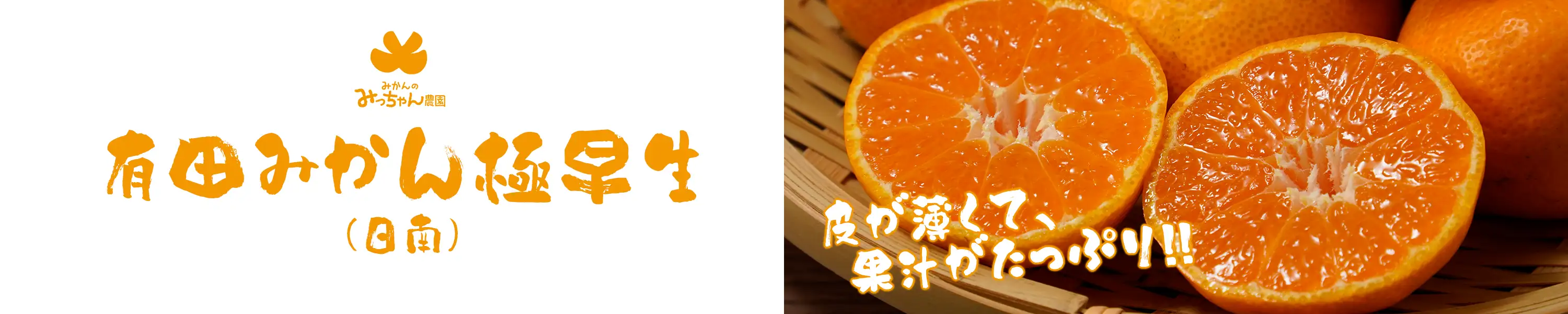 みかんのみっちゃん農園「有田みかん極早生（日南）