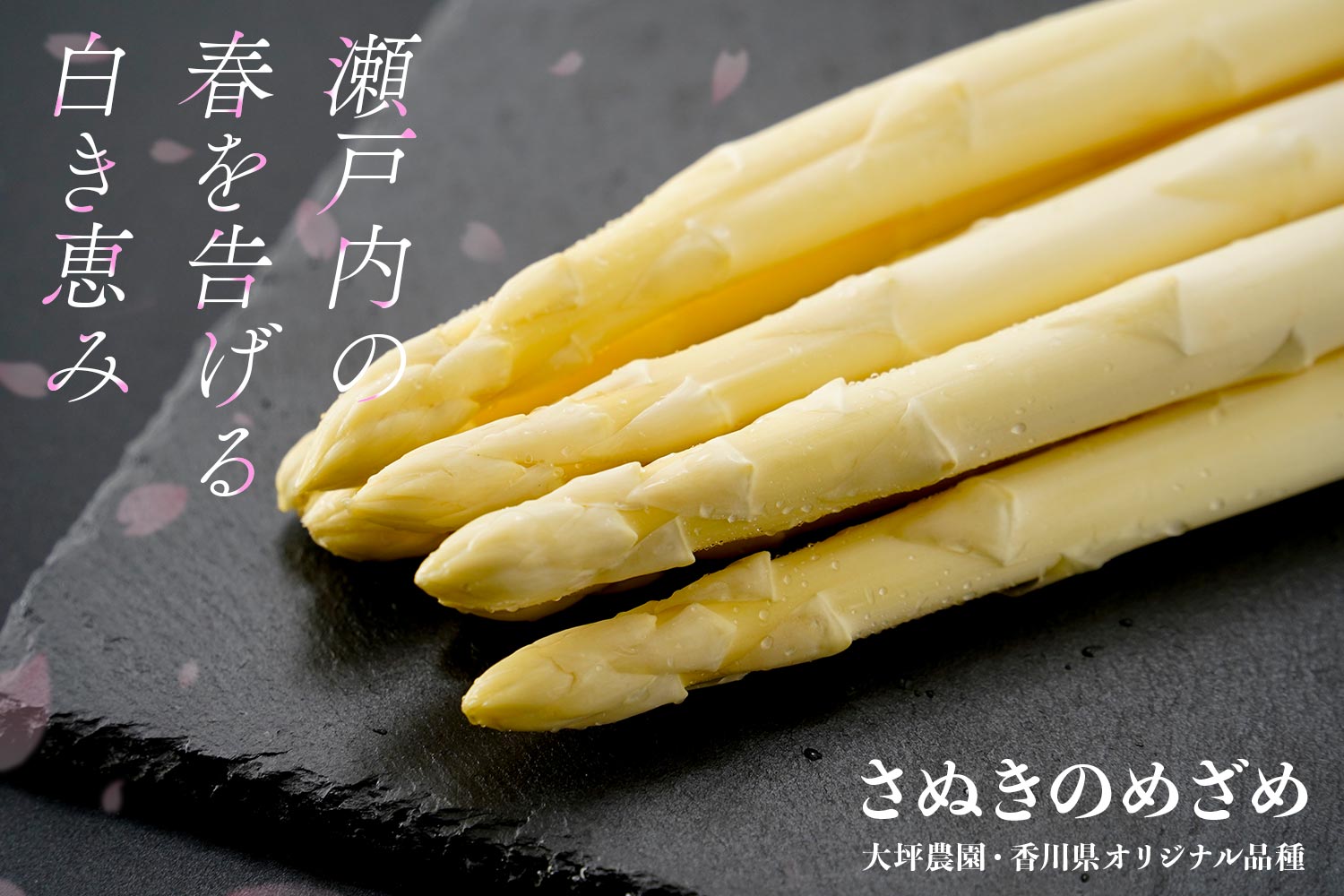 瀬戸内の春を告げる白き恵み 大坪農園・香川県オリジナル品種「さぬきのめざめ」