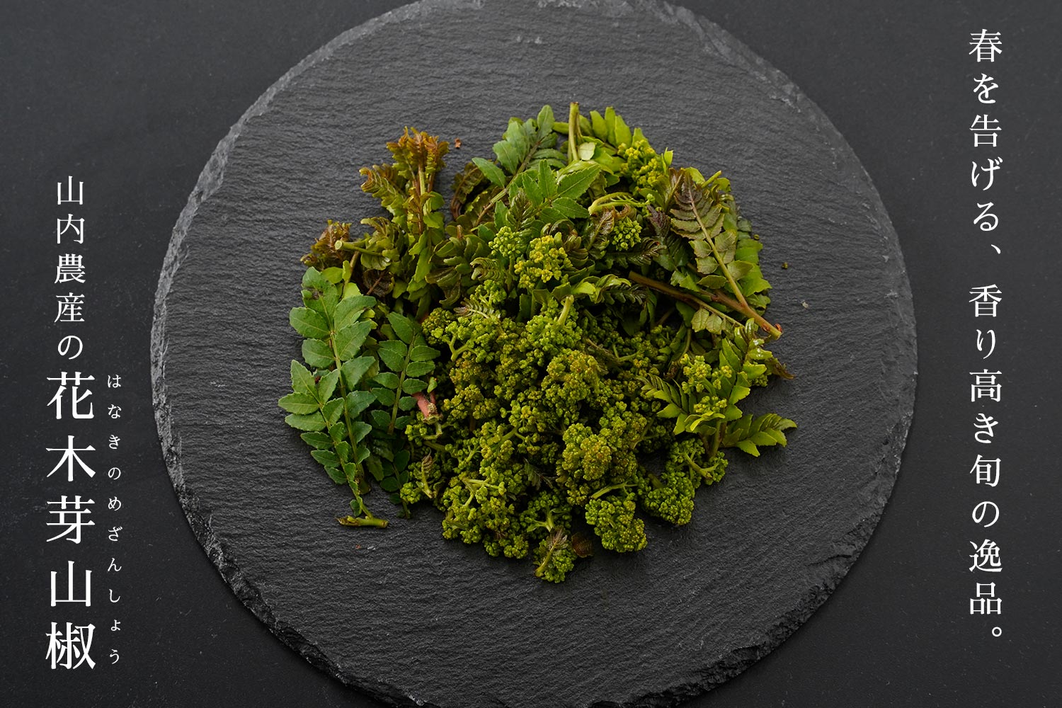 春を告げる、香り高き旬の逸品。「山内農産の花木芽山椒」