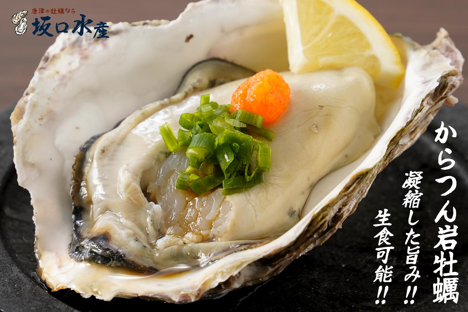 坂口水産・凝縮した旨み!!生食可能!!「からつん岩牡蠣」