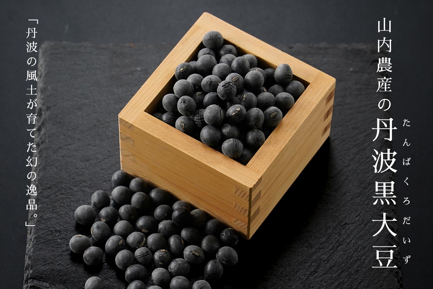 丹波の風土が育てた幻の逸品「山内農産の春日大納言小豆」