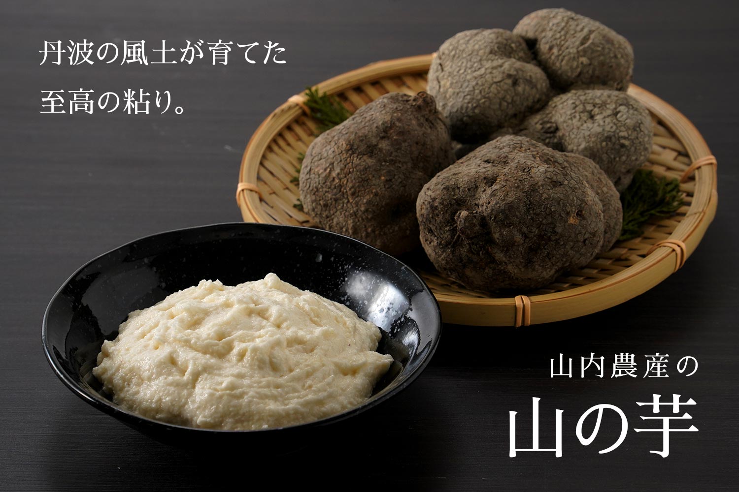 丹波の風土が育てた至高の粘り「山内農産の山の芋」