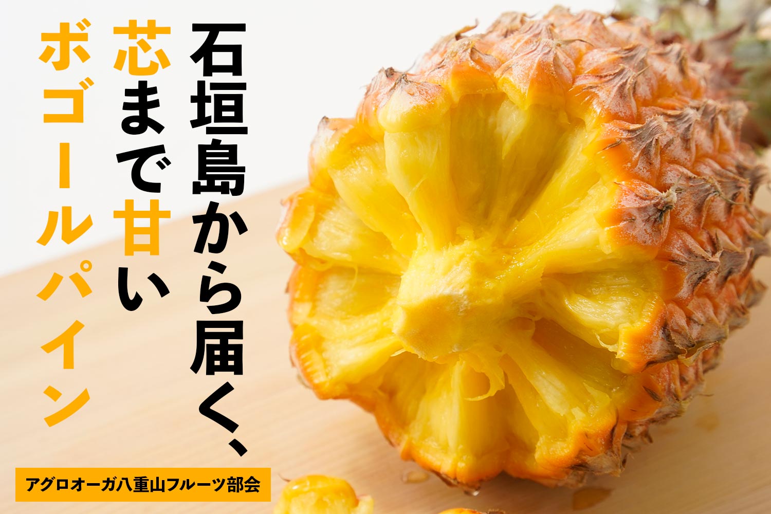 アグロオーガ八重山フルーツ部会「石垣島から届く、芯まで甘いボゴールパイン」