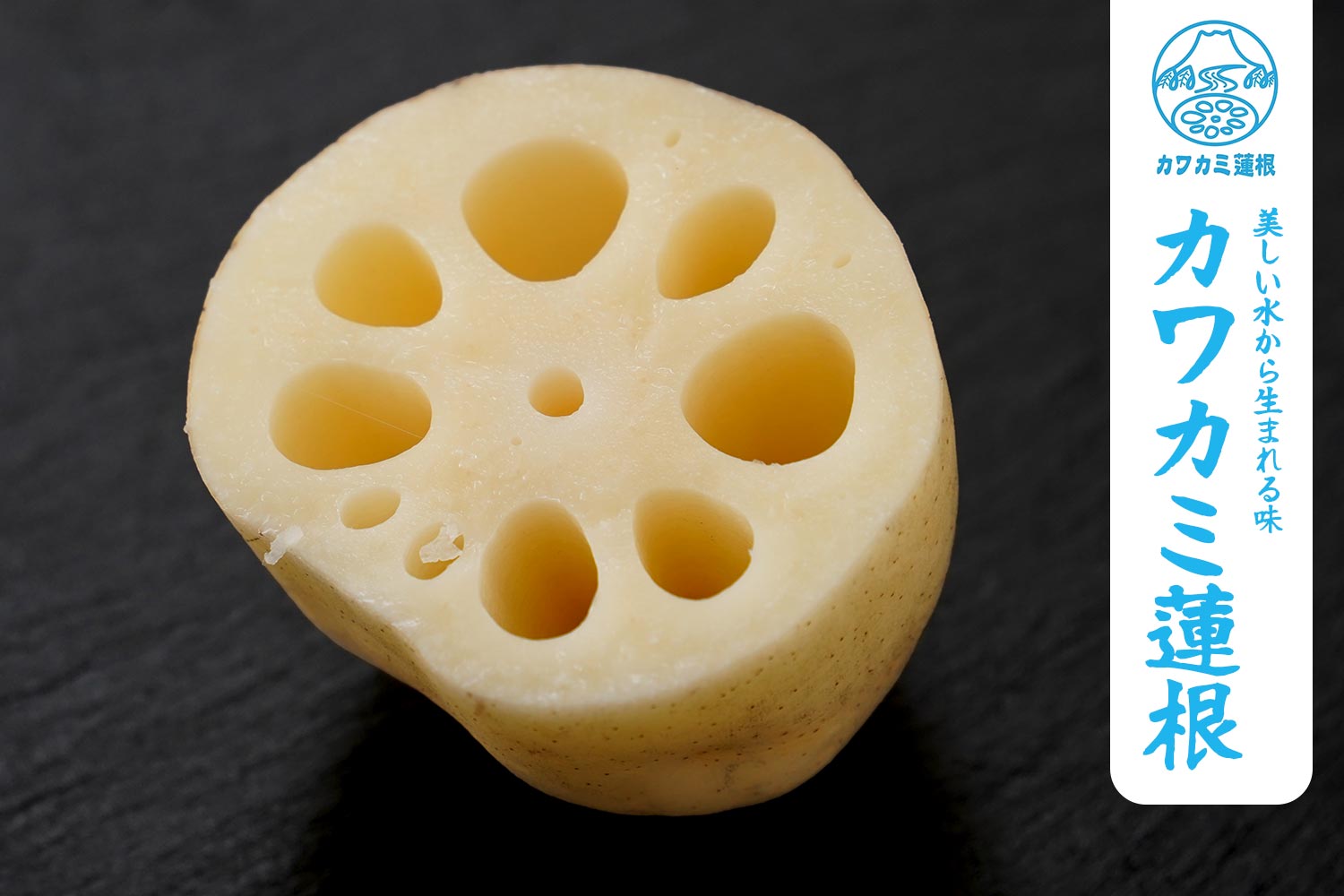 美しい水から生まれる味「カワカミ蓮根」