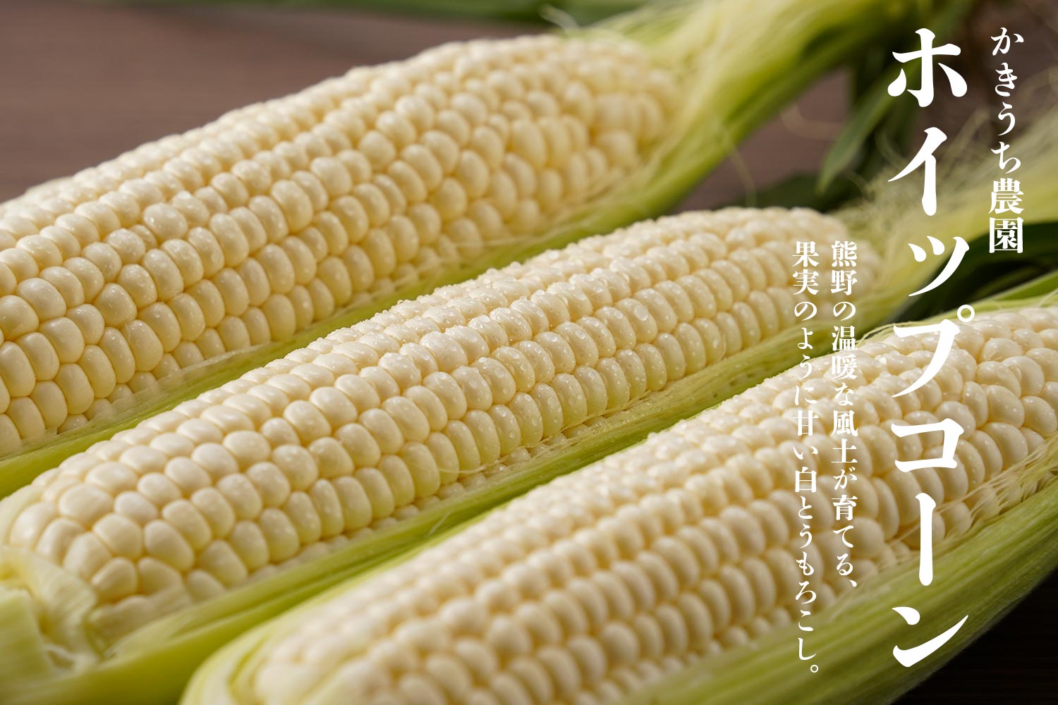 かきうち農園・熊野の温暖な風土が育てる、果実のように甘い白とうもろこし「ホイップコーン」