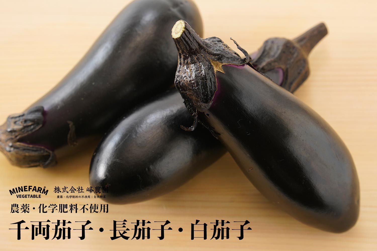 農薬・化学肥料不使用 峰農園「千両茄子・長茄子・白茄子」