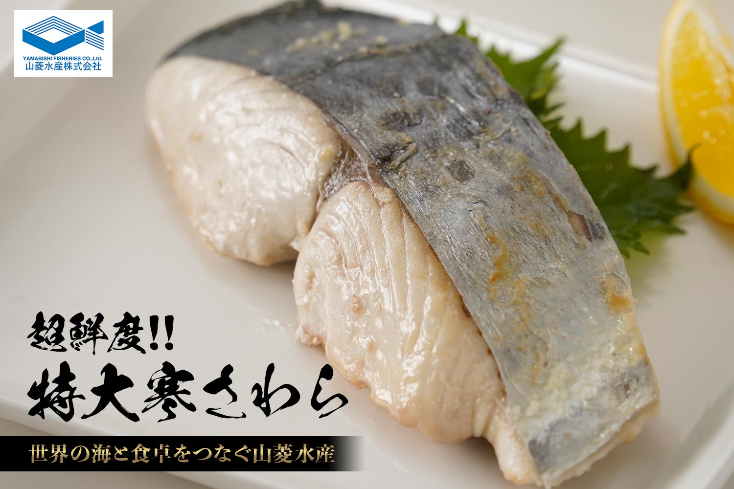 世界の海と食卓をつなぐ山菱水産「超鮮度!!特大寒さわら」