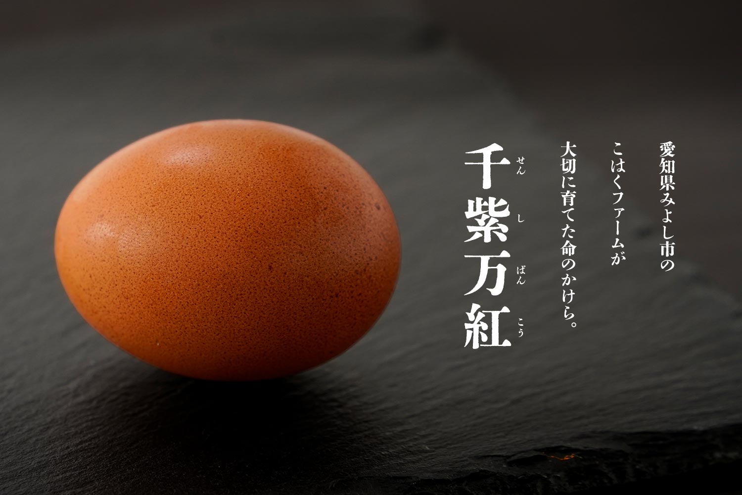 愛知県みよし市のこはくファームが大切に育てた命のかけら。「千紫万紅（せんしばんこう）」
