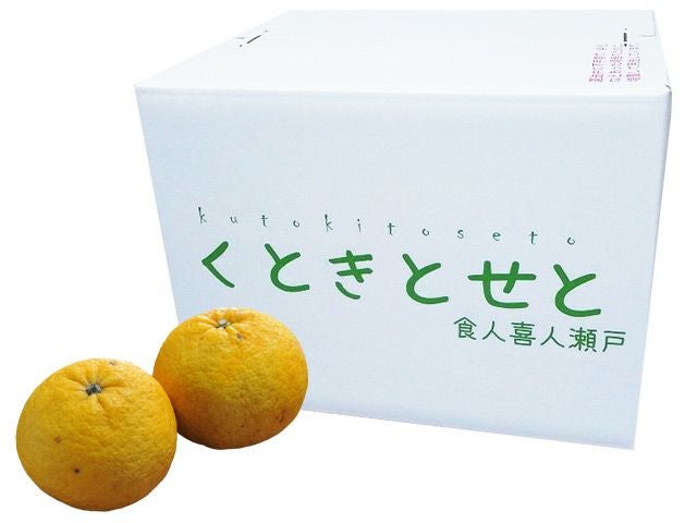 日野さんの自然農法甘夏【B品】5kg（自然栽培・農薬不使用） | 安心堂