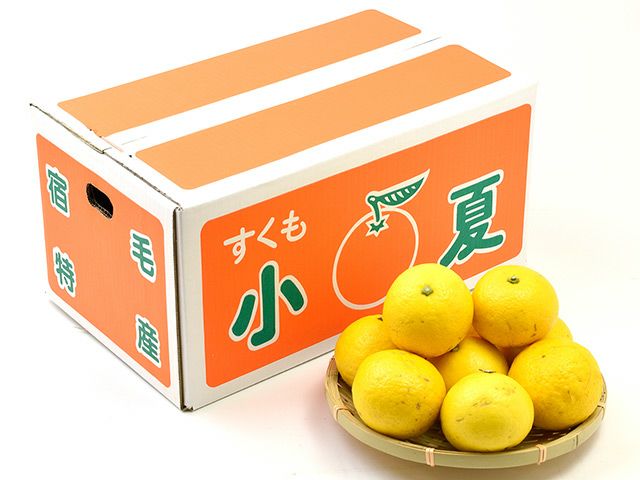 松岡農園のすくも小夏（5kg）家庭用 | 安心堂 食のSELECTネットショップ