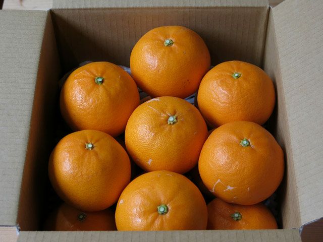 せとか | 安心堂 食のSELECTネットショップ