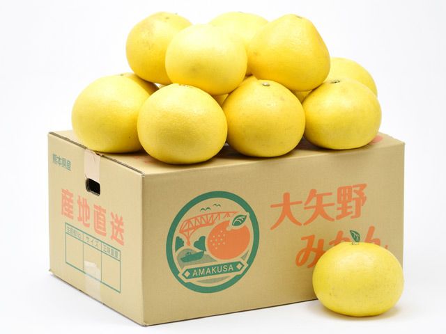 断捨離中‼︎パール柑3L 10kg 大矢野有機農産物供給センター・天草産パール柑【中玉】（9kg）20玉