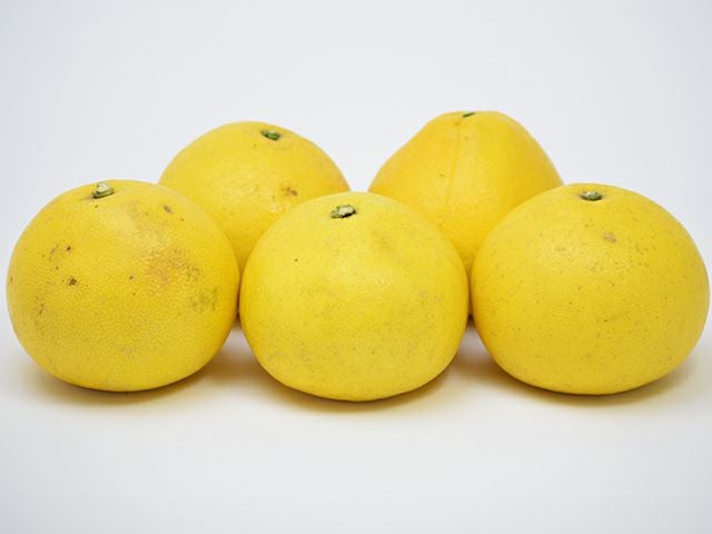 大矢野有機農産物供給センター・天草産パール柑【中玉】（9kg）20玉
