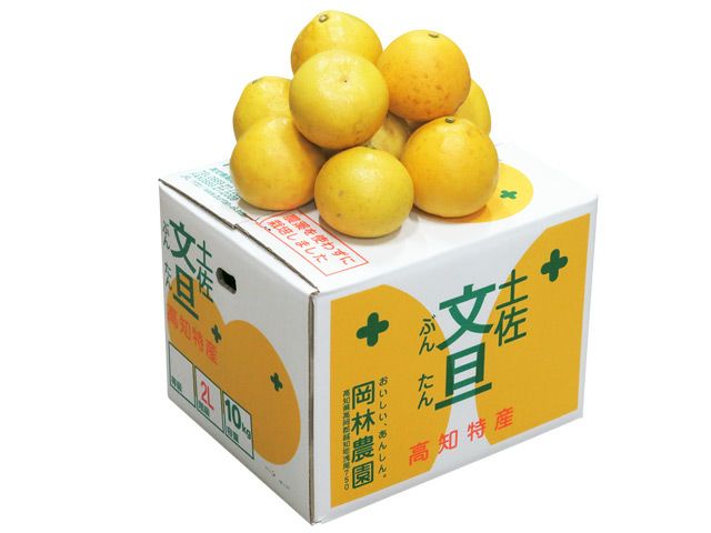 【無農薬】土佐文旦　露地栽培30kg 無農薬JAS有機栽培土佐文旦 « あじたび シニア向け通販・情報サイト