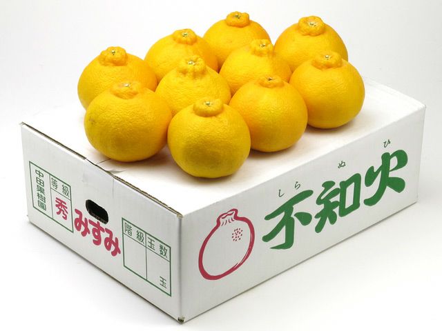 でこぽん・不知火 | 安心堂 食のSELECTネットショップ