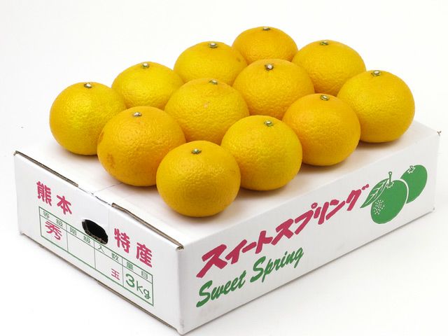 ちゃな　和田果樹園の果物　10キロ ちゃな様専用 和田果樹園の果物10kg 【公式通販】