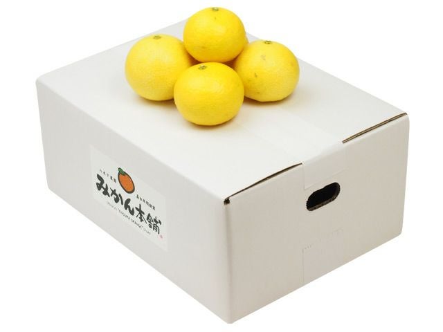 八木下農園・湘南ゴールド3kg（30～45玉） | 安心堂 食のSELECTネット