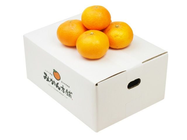八木下農園の津之輝3kg（15-25個）×1箱 | 安心堂 食のSELECTネットショップ