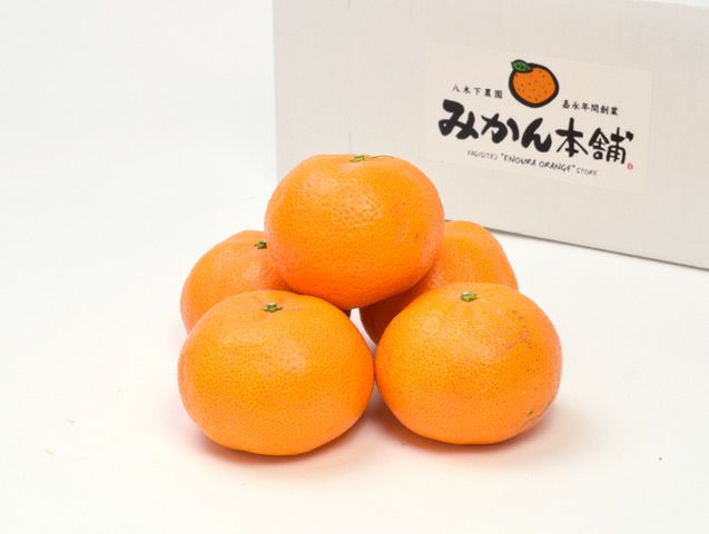 たまみ たまみ 約3kg-家庭用・大玉(2～3L玉) | のま果樹園